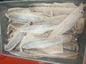frozen dorado fish fillet - product's photo