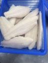 fresh frozen tongue sole fillet - product's photo