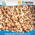 frozen nameko mushroom - product's photo