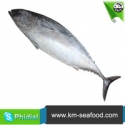 whole raw frozen bonito - product's photo