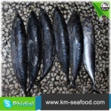 frozen bonito whole - product's photo