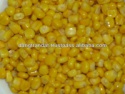 canned sweet corn - product's photo