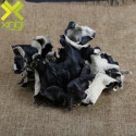 	 black fungus - product's photo