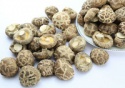 mushroom buyers - product's photo