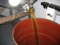 fresh natural honey bee - product's photo