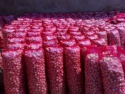 fresh onions - product's photo
