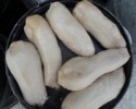 high quality grey mushroom - product's photo