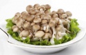 dried hypsizygus marmoreus mushroom - product's photo