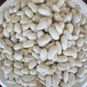 white kidney beans - product's photo
