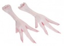 frozen chicken feet - product's photo