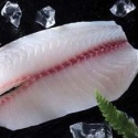 tilapia fillet frozen - product's photo