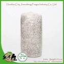 tree ear mushroom spawn - product's photo