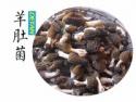 fresh morel mushrooms - product's photo