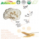 oyster mushroom extract 8 - product's photo