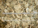 organic canned mushroom sliced - product's photo