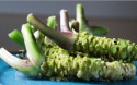 wasabi - product's photo