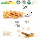 organic price cordyceps/cordyceps militaris - product's photo