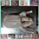 halal frozen duck good quality - product's photo