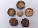 dried smooth mushroom - product's photo