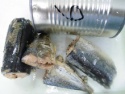 canned mackerel in brine - product's photo