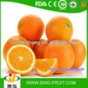 fresh fruits and vegetables in china - product's photo