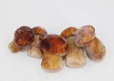 manufacture supply frozen boletus edulis exporters - product's photo