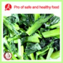 high quality iqf rape flower on sale - product's photo