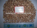 light speckled kidney bean - product's photo