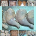 frozen chicken legs - product's photo