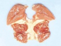 chicken shawarma - product's photo