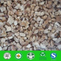 mushroom from yunnan (boletus) - product's photo