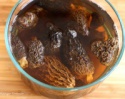 potassium chaga mushroom - product's photo