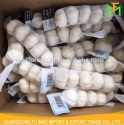 fresh garlic - product's photo