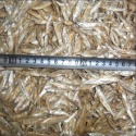 fresh natural dry fish - product's photo