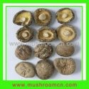 organic dried shiitake - product's photo