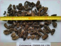 ad morels - product's photo