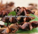 aniseed,star anise,food seasoning - product's photo