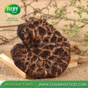 tremellodon gelatinosum sarcodon aspratus mushroom - product's photo