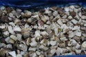 wild porcini mushroom - product's photo