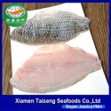freeze fresh talapia (black) - product's photo