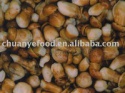 whole brine boletus edulis - product's photo