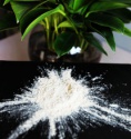 rice protein isolate as additives in baby food, sports nutrition - product's photo