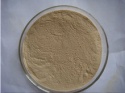 yj-protein, food nutrition for childern - product's photo