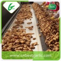 shandong organic ginger - product's photo