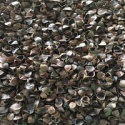 buckwheat hulls - product's photo