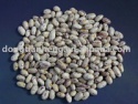 light speckled kidney beans - product's photo