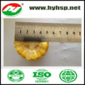 frozen sweet corn cob 5cm cuts - product's photo