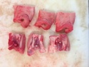 pork snouts - product's photo