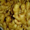 fresh ginge - product's photo