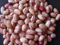 light speckled kidney beans - product's photo